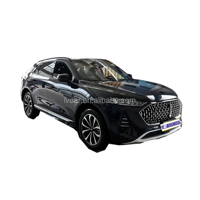 La eficiencia nunca se veía buena Este SUV eléctrico híbrido Wei Mocha con 2915 base de ruedas