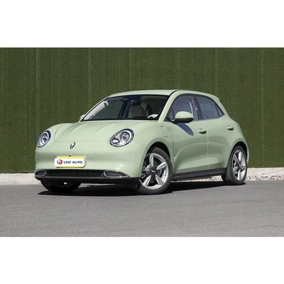 Cámara trasera de 360° Ventana trasera eléctrica para 2024 Verde ORA Gran Muralla Ora Buen coche de gato